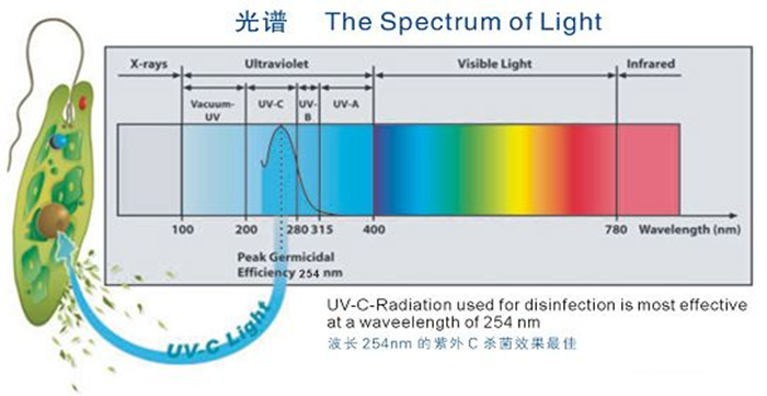 科普！紫外線殺菌燈對人體影響及正確使用方法